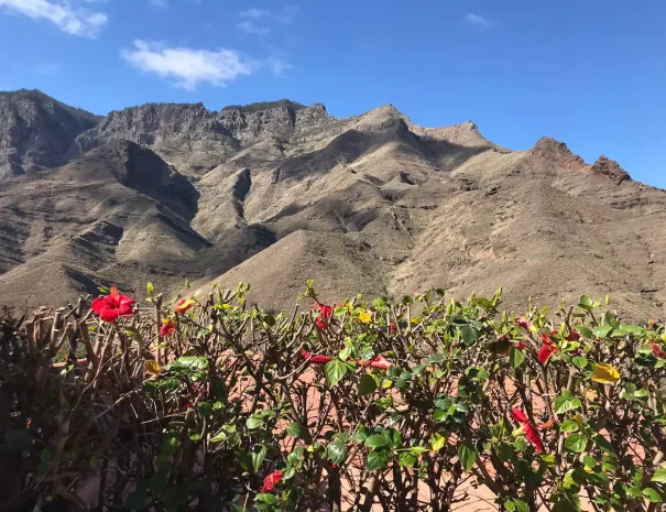 Viviendas Vacacionales en Gran Canarias