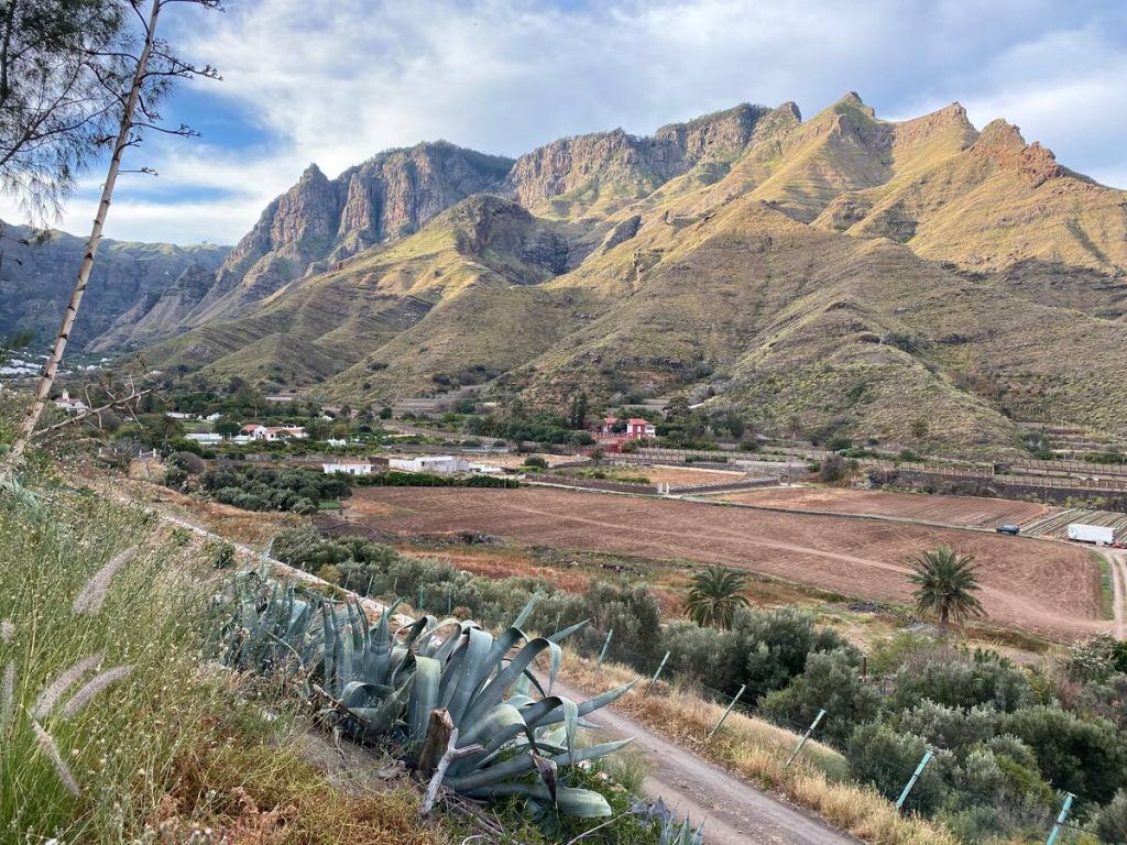 Bungalows en Gran Canaria: La Mejor Opción para una Escapada Relajante