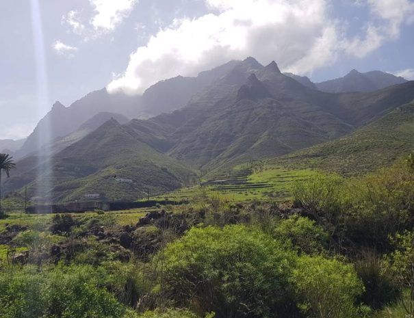 Viviendas Vacacionales en Gran Canarias - Valle Agaete