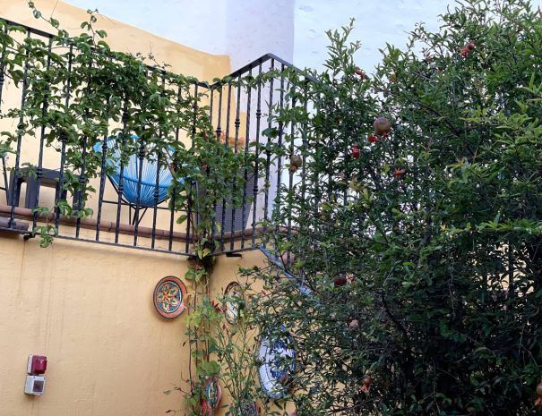 Viviendas Vacacionales en Gran Canarias - oriettaholidayshome