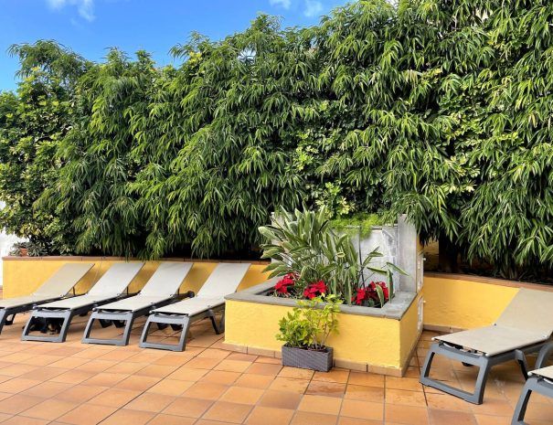 Viviendas Vacacionales en Gran Canarias - oriettaholidayshome