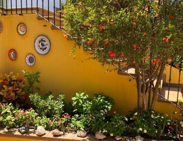 Viviendas Vacacionales en Gran Canarias - oriettaholidayshome