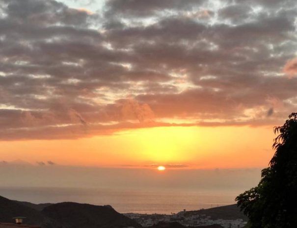 The Best Apartments in Las Palmas de Gran Canaria: Options & Prices