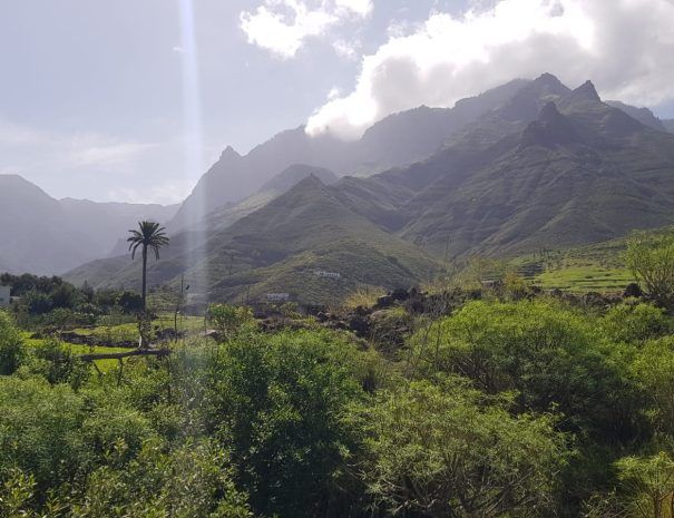 Viviendas Vacacionales - Canarias